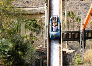Falls of the Nile
