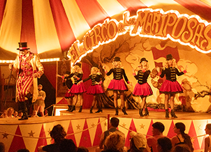 Le cirque des papillons